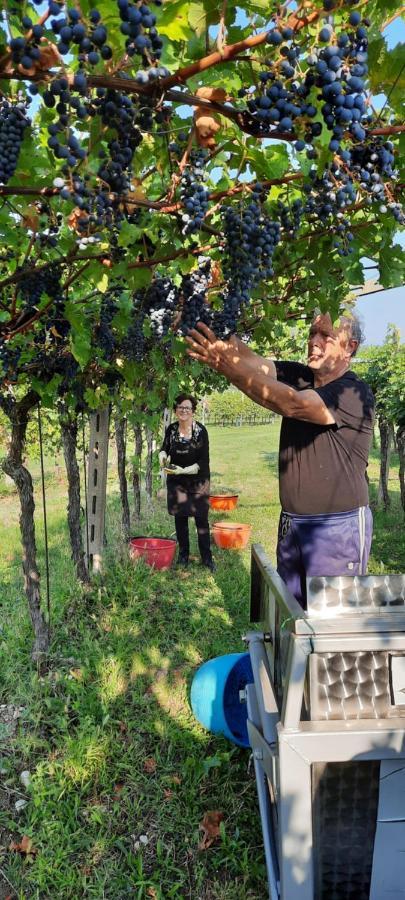 Alloggio per agriturismo La Rocca *