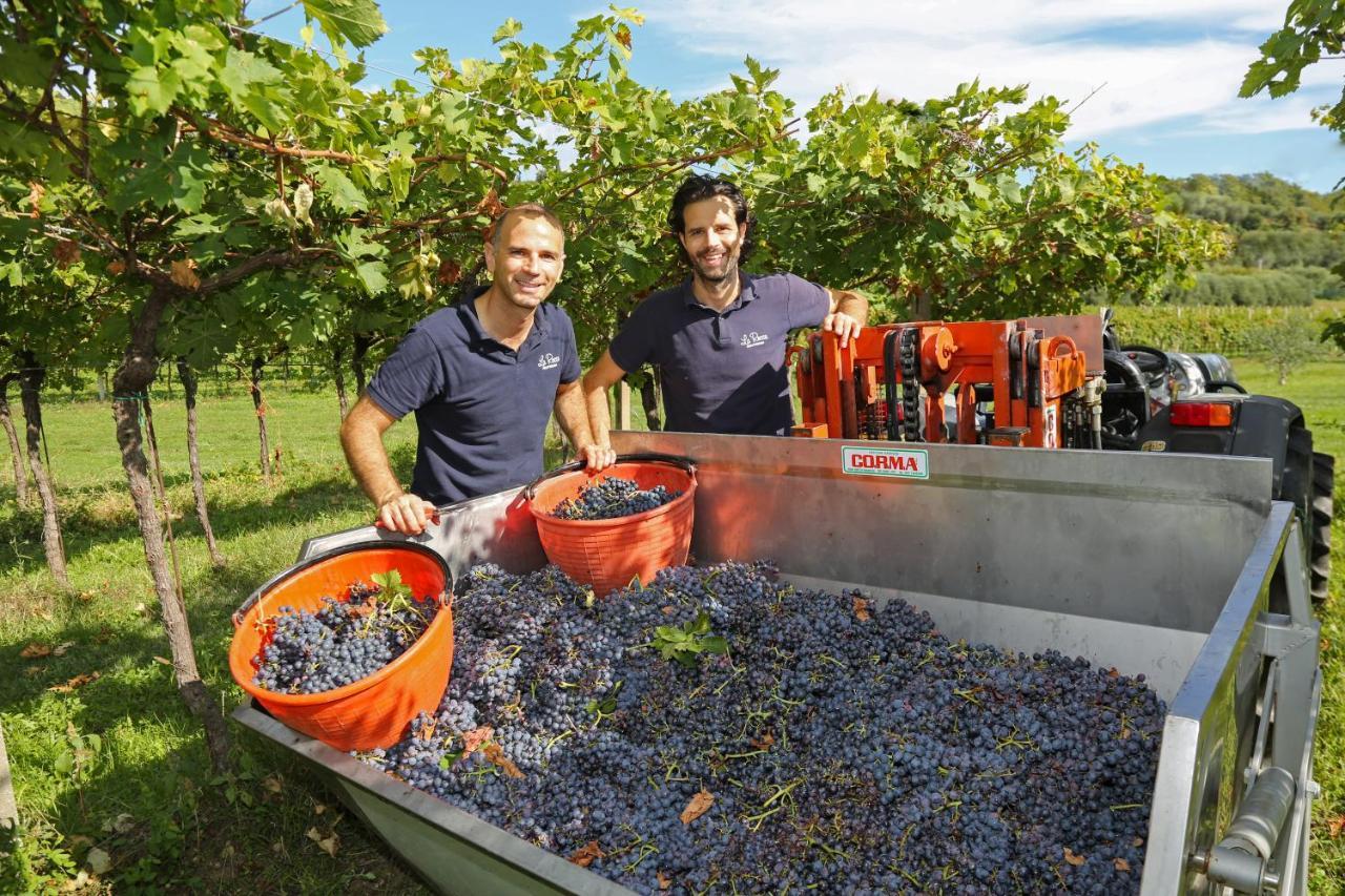 Alloggio per agriturismo La Rocca Bardolino